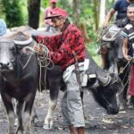 Farmers’ being force-evacuated (Newsreel)