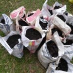A 6’x4’x3’ high bin produced 16 bags of “Black Gold” soil