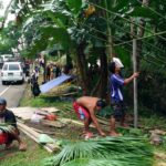 Evacuees building temporary homes (nippa huts)